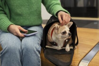 cuenta-dni-y-banco-provincia-lanzan-10%-de-ahorro-y-cuotas-sin-interes-en-veterinarias
