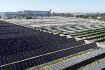 asi-es-el-primer-parque-solar-argentino-dedicado-a-la-fabricacion-de-autos