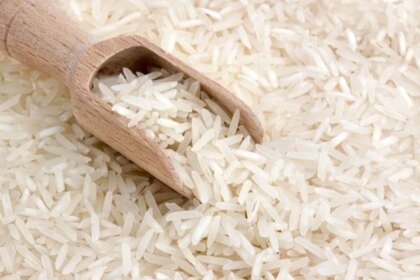 alerta-en-el-arroz-argentino:-detectan-por-primera-vez-un-virus-que-solo-existia-en-asia