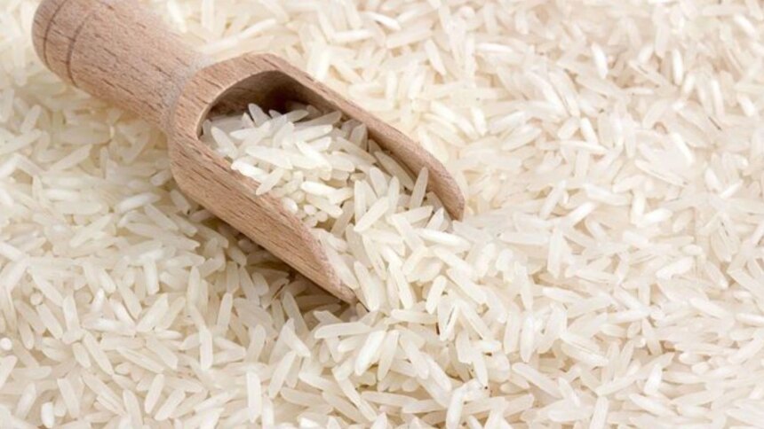 alerta-en-el-arroz-argentino:-detectan-por-primera-vez-un-virus-que-solo-existia-en-asia