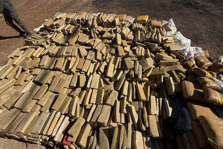 paso-de-los-libres:-incineraron-mas-de-tres-toneladas-de-marihuana