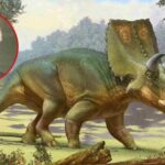 el-dinosaurio-cornudo-que-lleva-el-nombre-de-ted-turner