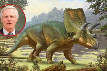 el-dinosaurio-cornudo-que-lleva-el-nombre-de-ted-turner