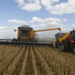 ¿se-viene-un-“super-nino”?:-los-impactos-que-podria-tener-en-el-campo