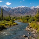 mendoza-en-alerta-por-el-agua:-crece-el-estres-hidrico-y-reclaman-un-plan-urgente-de-accion
