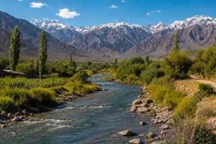 mendoza-en-alerta-por-el-agua:-crece-el-estres-hidrico-y-reclaman-un-plan-urgente-de-accion