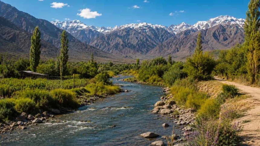 mendoza-en-alerta-por-el-agua:-crece-el-estres-hidrico-y-reclaman-un-plan-urgente-de-accion