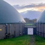 investigadoras-argentinas-usan-canas-para-producir-biogas-de-bajo-costo