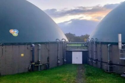 investigadoras-argentinas-usan-canas-para-producir-biogas-de-bajo-costo