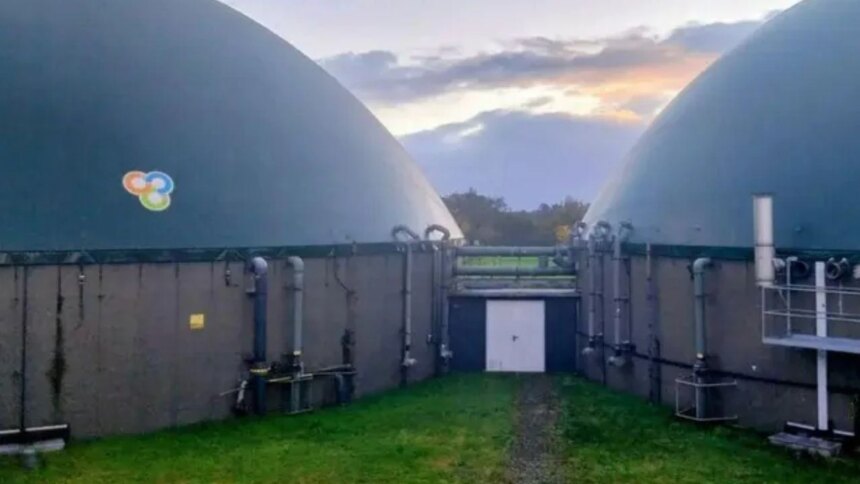 investigadoras-argentinas-usan-canas-para-producir-biogas-de-bajo-costo