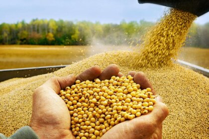 escandalo-en-europa:-detectan-transgenicos-prohibidos-en-la-soja-argentina-y-peligran-exportaciones-millonarias