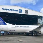 sexo-en-pleno-vuelo:-demoraron-a-una-pareja-que-estaba-semidesnuda-en-un-avion-que-habia-llegado-a-rosario