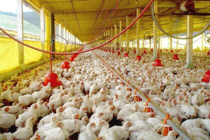 las-importaciones-de-carne-alcanzaron-un-nuevo-record-en-marzo-y-advierten-por-la-subsistencia-de-pequenos-productores