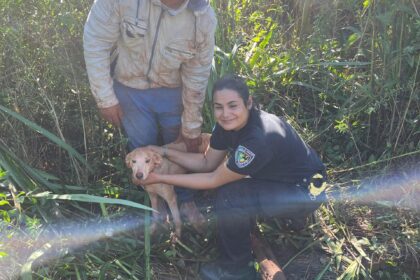 otra-oportunidad-para-“pitoca”-en-campo-viera:-rescataron-a-una-perra-que-paso-cuatro-dias-desaparecida-y-atrapada-en-un-pozo