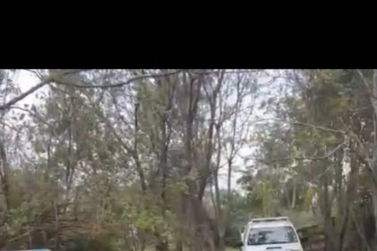 detienen-a-un-hombre-que-agredio-brutalmente-y-amenazo-de-muerte-a-su-pareja-en-campo-grande