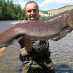 peces-foraneos-fuera-de-control:-el-fenomeno-que-preocupa-a-cientificos-y-pescadores-deportivos