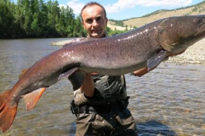 peces-foraneos-fuera-de-control:-el-fenomeno-que-preocupa-a-cientificos-y-pescadores-deportivos