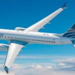 como-fue,-desde-adentro,-la-detencion-de-la-pareja-que-tenia-sexo-en-un-avion