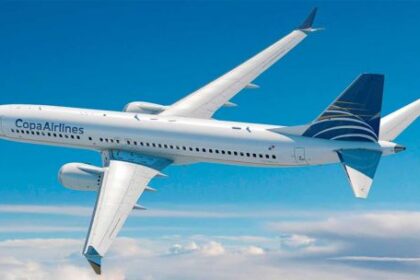 como-fue,-desde-adentro,-la-detencion-de-la-pareja-que-tenia-sexo-en-un-avion