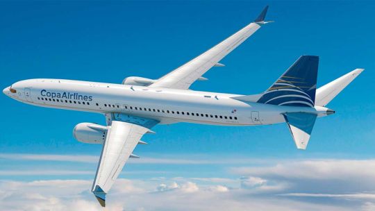 como-fue,-desde-adentro,-la-detencion-de-la-pareja-que-tenia-sexo-en-un-avion