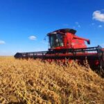 fertilizantes-caros-y-suelos-agotados:-el-desafio-del-trigo-y-la-cebada-este-ano