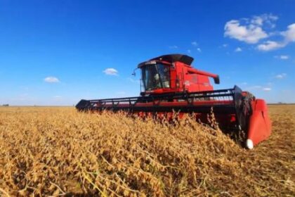fertilizantes-caros-y-suelos-agotados:-el-desafio-del-trigo-y-la-cebada-este-ano