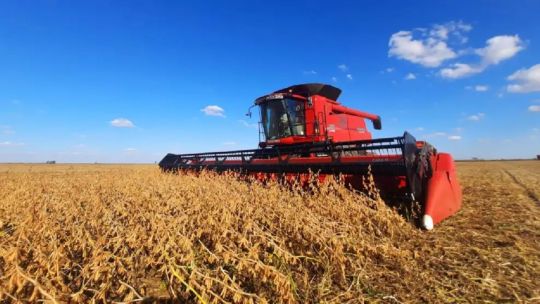 fertilizantes-caros-y-suelos-agotados:-el-desafio-del-trigo-y-la-cebada-este-ano
