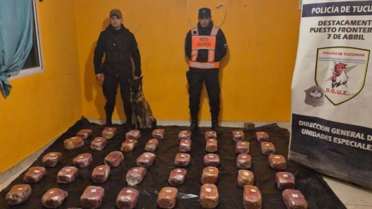 la-policia-de-tucuman-incauto-48-kilos-de-marihuana-y-detuvo-a-dos-mujeres