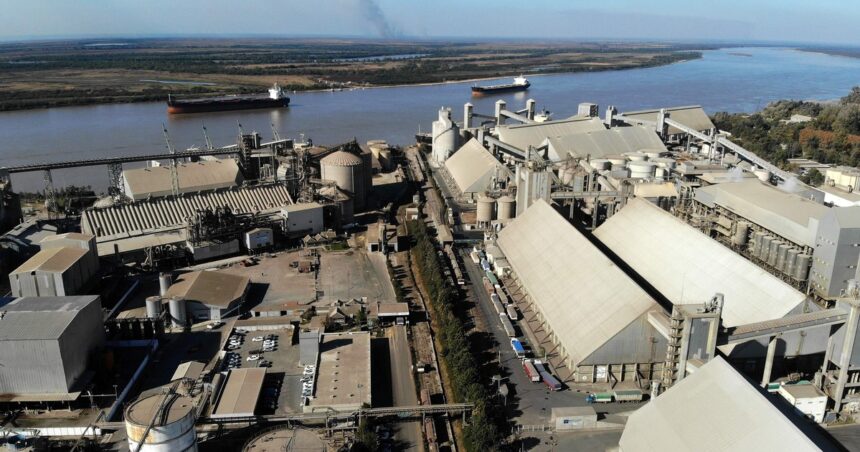 la-nueva-vicentin-suma-pagos-parciales-a-mas-de-1.000-acreedores
