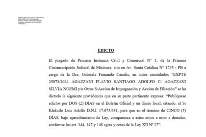 el-juzgado-de-primera-instancia-civil-y-comercial-n°-1-cita-al-sr-klekailo-luis-adolfo