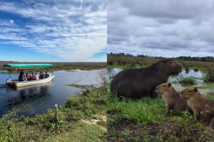 misiones-maravilla-|-este-sabado-16-conoce-los-esteros-del-ibera-con-esta-salida-grupal-desde-posadas,-ultimos-lugares-disponibles