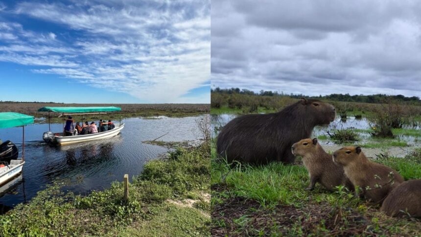misiones-maravilla-|-este-sabado-16-conoce-los-esteros-del-ibera-con-esta-salida-grupal-desde-posadas,-ultimos-lugares-disponibles