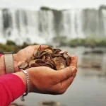 el-costo-ambiental-de-los-deseos:-hallaron-400-kilos-de-monedas-del-fondo-de-las-cataratas-del-iguazu
