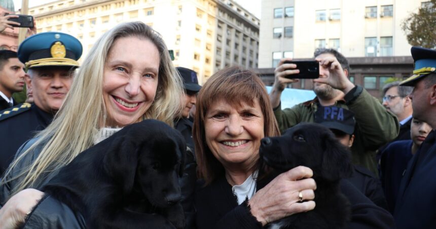 “nos-pasan-por-arriba”:-patricia-bullrich-descarta-dejar-la-jefatura-de-bloque-y-se-cruza-con-el-pro-por-la-ciudad