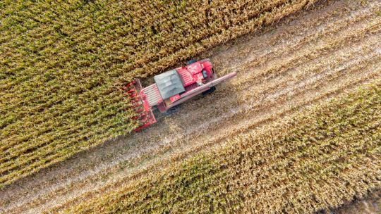 fertilizantes-caros-y-conflictos-globales:-el-desafio-que-enfrenta-el-campo-argentino
