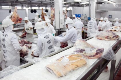la-union-europea-frena-importaciones-de-carne-desde-brasil:-que-impacto-puede-tener-para-el-producto-argentino