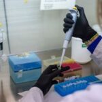 world-health-organization-confirms-eight-cases-of-andes-hantavirus-in-outbreak