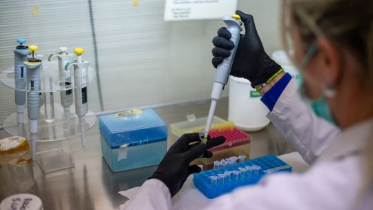 world-health-organization-confirms-eight-cases-of-andes-hantavirus-in-outbreak