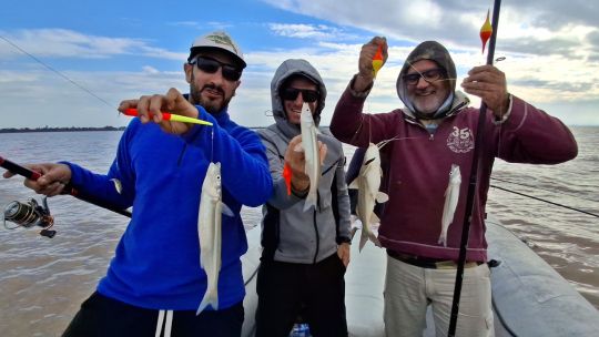 tremenda-pesca-en-quilmes:-el-rio-de-la-plata-mostro-todo-su-potencial