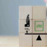 la-maniobra-de-los-bonos-de-carbono:-un-permiso-para-seguir-contaminando-con-impunidad