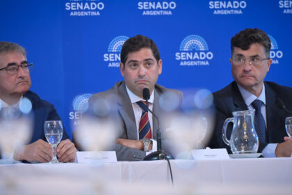 el-hijo-de-rosatti-defendio-su-pliego-en-el-senado-y-los-dialoguistas-le-dan-luz-verde-a-los-candidatos-a-jueces-de-milei