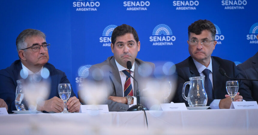 el-hijo-de-rosatti-defendio-su-pliego-en-el-senado-y-los-dialoguistas-le-dan-luz-verde-a-los-candidatos-a-jueces-de-milei