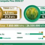 tras-una-campana-extraordinaria-de-trigo,-se-espera-una-fuerte-caida-de-mas-del-20%-en-la-produccion