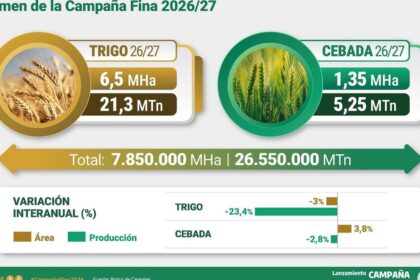 tras-una-campana-extraordinaria-de-trigo,-se-espera-una-fuerte-caida-de-mas-del-20%-en-la-produccion