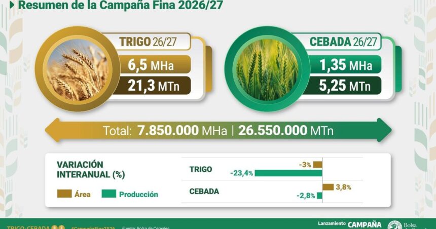 tras-una-campana-extraordinaria-de-trigo,-se-espera-una-fuerte-caida-de-mas-del-20%-en-la-produccion