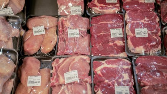 relief-for-milei-as-inflation-in-argentina-slows-for-first-time-in-11-months