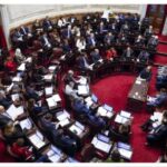 el-senado-convirtio-en-ley-la-regularizacion-de-armas-de-fuego