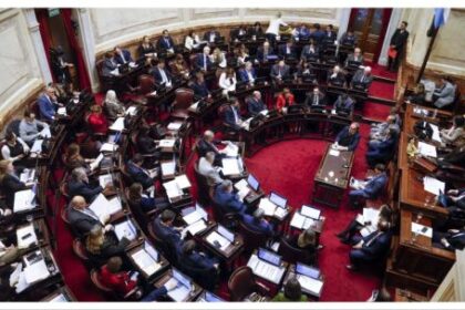 el-senado-convirtio-en-ley-la-regularizacion-de-armas-de-fuego