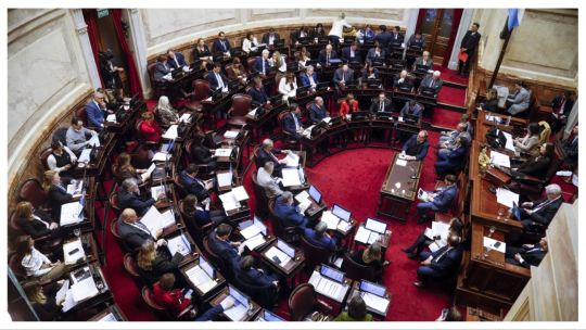el-senado-convirtio-en-ley-la-regularizacion-de-armas-de-fuego