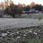 el-invierno-empieza-a-sentirse-en-misiones:-se-espera-una-nueva-ola-de-frio-con-minimas-de-hasta-3°-en-algunas-localidades